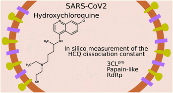 Graphical abstract: Interaction of hydroxychloroquine with SARS-CoV2 functional proteins using all-atoms non-equilibrium alchemical simulations