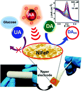 Graphical abstract: Ultrasensitive and highly selective detection of dopamine by a NiFeP based flexible electrochemical sensor