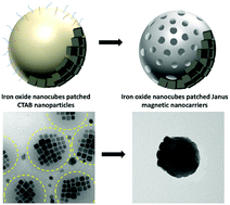 Graphical abstract: Synthesis of iron oxide nanocube patched Janus magnetic nanocarriers for cancer therapeutic applications