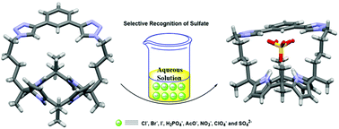 Graphical abstract: Benzenebistriazole-strapped calix[4]pyrrole: a neutral anion receptor with CH and NH donor groups that exhibits high sulfate binding affinity and selectivity in aqueous solutions
