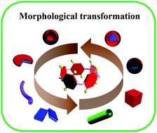 Graphical abstract: Morphology transformation of pillararene-based supramolecular nanostructures