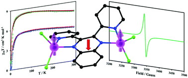 Graphical abstract: Quinoxaline radical-bridged transition metal complexes with very strong antiferromagnetic coupling
