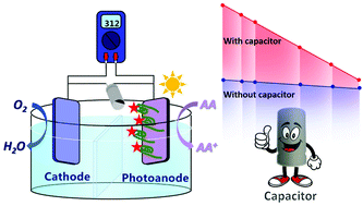 Graphical abstract: A self-powered aptasensor using the capacitor-amplified signal of a photofuel cell and a portable digital multimeter readout
