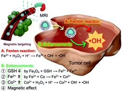Graphical abstract: A magnetically responsive drug-loaded nanocatalyst with cobalt-involved redox for the enhancement of tumor ferrotherapy