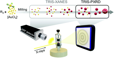 Graphical abstract: Tandem X-ray absorption spectroscopy and scattering for in situ time-resolved monitoring of gold nanoparticle mechanosynthesis