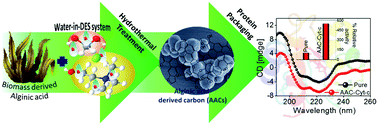 Graphical abstract: Multifunctional solvothermal carbon derived from alginate using ‘water-in-deep eutectic solvents’ for enhancing enzyme activity