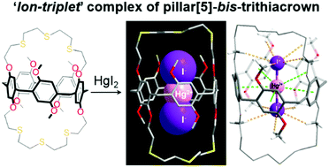 Graphical abstract: Metallosupramolecules of pillar[5]-bis-trithiacrown including a mercury(ii) iodide ion-triplet complex