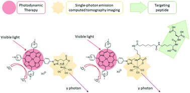 Graphical abstract: Synthesis of a porphyrin with histidine-like chelate: an efficient path towards molecular PDT/SPECT theranostics