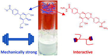 Graphical abstract: Two-component supramolecular hydrogel for controlled drug release