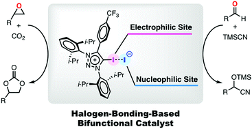 Graphical abstract: Lewis acid–base synergistic catalysis of cationic halogen-bonding-donors with nucleophilic counter anions