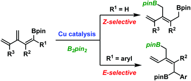 Graphical abstract: Copper-catalyzed protoboration of borylated dendralenes: a regio- and stereoselective access to functionalized 1,3-dienes