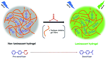 Graphical abstract: An inexpensive and sensitive turn-on luminescence protocol for sensing formaldehyde