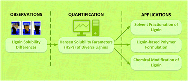 Graphical abstract: Experimental and computer aided solubility quantification of diverse lignins and performance prediction