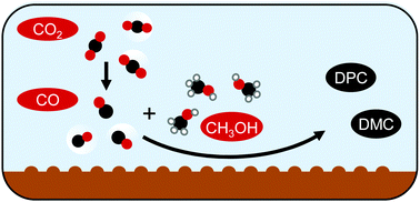 Graphical abstract: Electrocatalytic synthesis of organic carbonates
