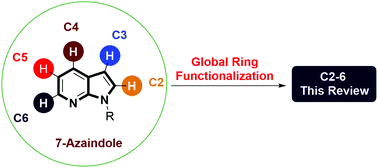 Graphical abstract: Recent advances in the global ring functionalization of 7-azaindoles