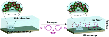 Graphical abstract: Pillar[5]arene microcapsules turn on fluid flow in the presence of paraquat