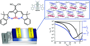 Graphical abstract: Hydrogen bond-rigidified planar squaraine dye and its electronic and organic semiconductor properties