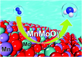 Graphical abstract: Bimetallic MnMoO4 with dual-active-centers for highly efficient electrochemical N2 fixation