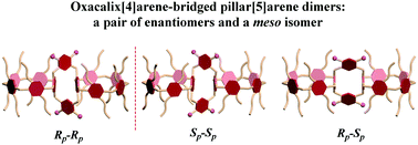 Graphical abstract: Oxacalix[4]arene-bridged pillar[5]arene dimers: syntheses, planar chirality and construction of chiral rotaxanes