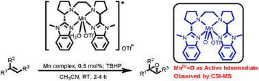 Graphical abstract: Ligand regulation for manganese-catalyzed enantioselective epoxidation of olefins without acid