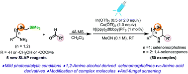 Graphical abstract: SLAP reagents for the photocatalytic synthesis of C3/C5-substituted, N-unprotected selenomorpholines and 1,4-selenazepanes