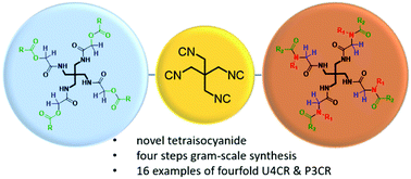 Graphical abstract: Fourfold symmetric MCR's via the tetraisocyanide 1,3-diisocyano-2,2-bis(isocyanomethyl)propane