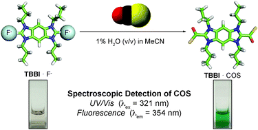 Graphical abstract: Progress toward colorimetric and fluorescent detection of carbonyl sulfide