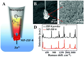 Graphical abstract: Highly efficient zinc finger peptide detection with ZIF-8-modified micropipets