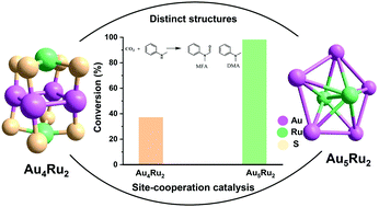 Graphical abstract: Ligand-protected Au4Ru2 and Au5Ru2 nanoclusters: distinct structures and implications for site-cooperation catalysis