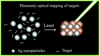 Graphical abstract: The laser-triggered dynamical plasmonic optical trapping of targets and advanced Raman detection sensitivity
