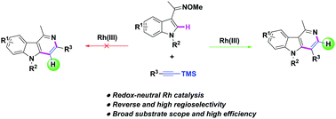 Graphical abstract: γ-Carboline synthesis enabled by Rh(iii)-catalysed regioselective C–H annulation