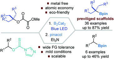 Graphical abstract: Metal catalyst-free photo-induced alkyl C–O bond borylation