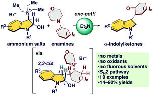 Graphical abstract: A metal-, oxidant-, and fluorous solvent-free synthesis of α-indolylketones enabled by an umpolung strategy