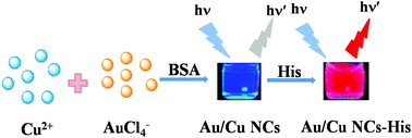 Graphical abstract: Histidine-triggered turning-on of gold/copper nanocluster fluorescence for the sensitive and selective detection of histidine