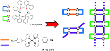 Graphical abstract: Gleaned snapshots on the road to coordination polymers: heterometallic architectures based on Cu(i) metallaclips and 2,2′-bis-dipyrrin metalloligands