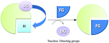 Graphical abstract: Traceless directing groups: a novel strategy in regiodivergent C–H functionalization