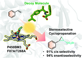 Graphical abstract: Enhanced cis- and enantioselective cyclopropanation of styrene catalysed by cytochrome P450BM3 using decoy molecules