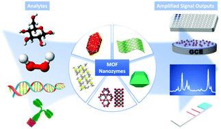 Graphical abstract: Metal–organic framework based nanozymes: promising materials for biochemical analysis