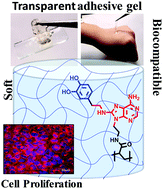 Graphical abstract: Bioinspired adenine–dopamine immobilized polymer hydrogel adhesives for tissue engineering