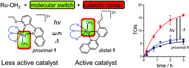 Graphical abstract: A multi-stimuli responsive ruthenium complex for catalytic water oxidation