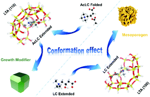 Graphical abstract: A dramatic conformational effect of multifunctional zwitterions on zeolite crystallization