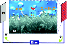 Graphical abstract: A one-step synthesis of a Ta3N5 nanorod photoanode from Ta plates and NH4Cl powder for photoelectrochemical water oxidation