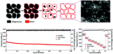 Graphical abstract: Kirkendall effect modulated hollow red phosphorus nanospheres for high performance sodium-ion battery anodes