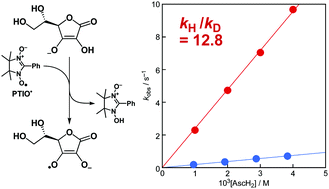 Graphical abstract: A large kinetic isotope effect in the reaction of ascorbic acid with 2-phenyl-4,4,5,5-tetramethylimidazoline-1-oxyl 3-oxide (PTIO˙) in aqueous buffer solutions