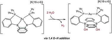 Graphical abstract: H2 evolution from H2O via O–H oxidative addition across a 9,10-diboraanthracene