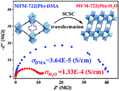 Graphical abstract: Enhanced proton conductivity in a flexible metal–organic framework promoted by single-crystal-to-single-crystal transformation
