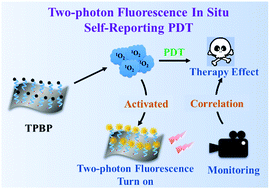 Graphical abstract: A two-photon fluorescence self-reporting black phosphorus nanoprobe for the in situ monitoring of therapy response