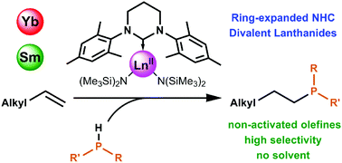 Graphical abstract: Ln(ii) amido complexes coordinated by ring-expanded N-heterocyclic carbenes – promising catalysts for olefin hydrophosphination