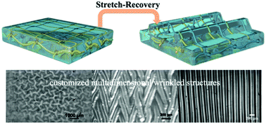 Graphical abstract: Wrinkled double network hydrogel via simple stretch-recovery
