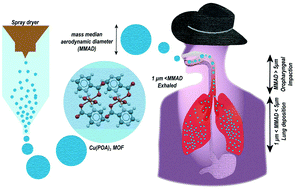 Graphical abstract: Designing inhalable metal organic frameworks for pulmonary tuberculosis treatment and theragnostics via spray drying